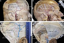 قسم الاستشارات الطبيه